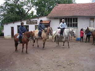 Stage d'équitation